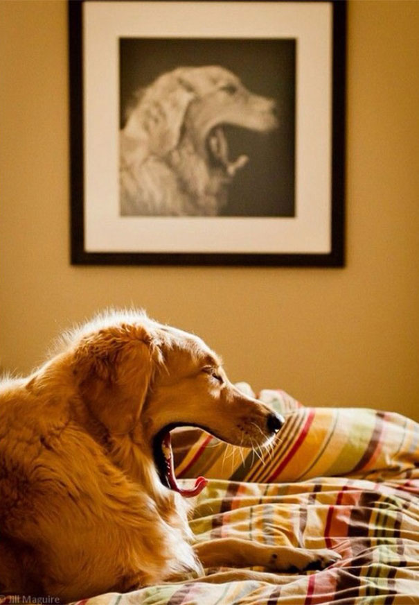 perfectly-timed-photos-300914_11