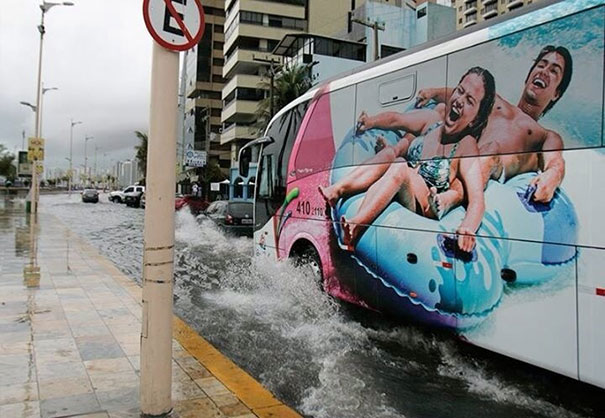 perfectly-timed-photos-300914_12