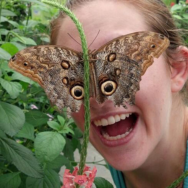 perfectly-timed-photos-300914_17