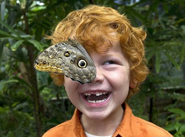 perfectly-timed-photos-300914_2