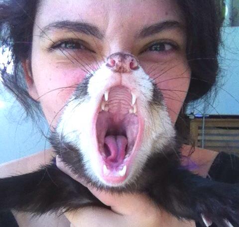perfectly-timed-photos-300914_22