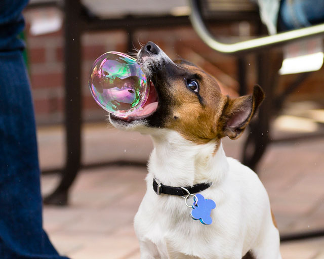 perfectly-timed-photos-300914_24