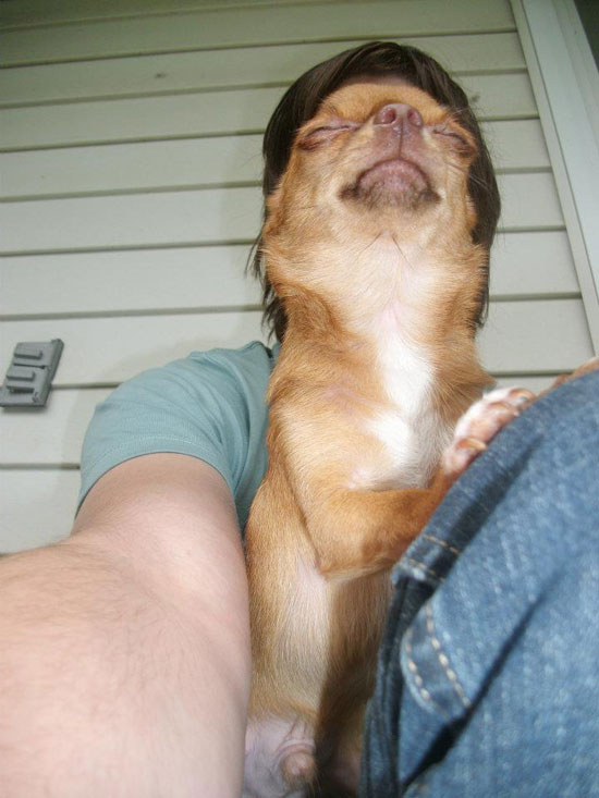 perfectly-timed-photos-300914_25