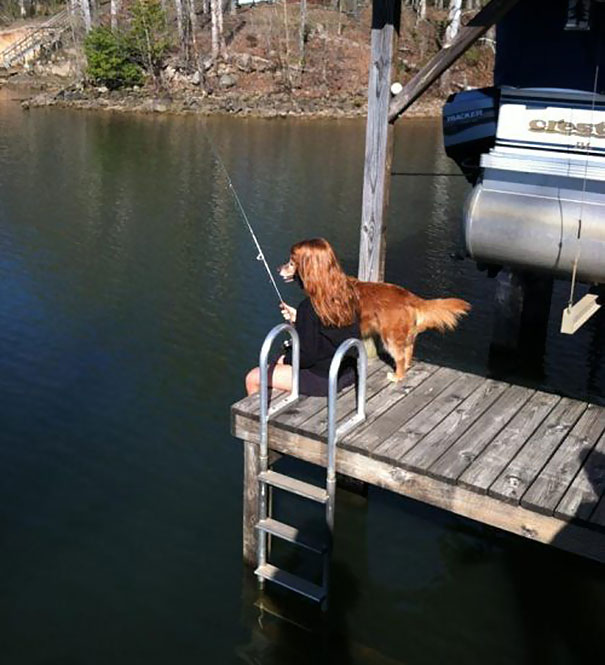 perfectly-timed-photos-300914_28