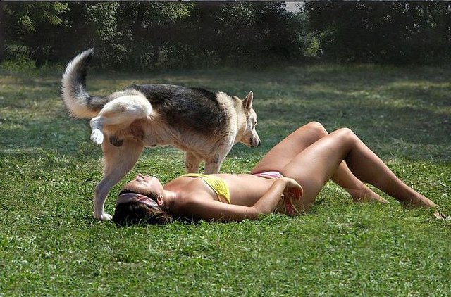 perfectly-timed-photos-300914_3