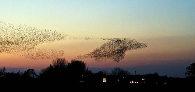 perfectly-timed-photos-300914_30
