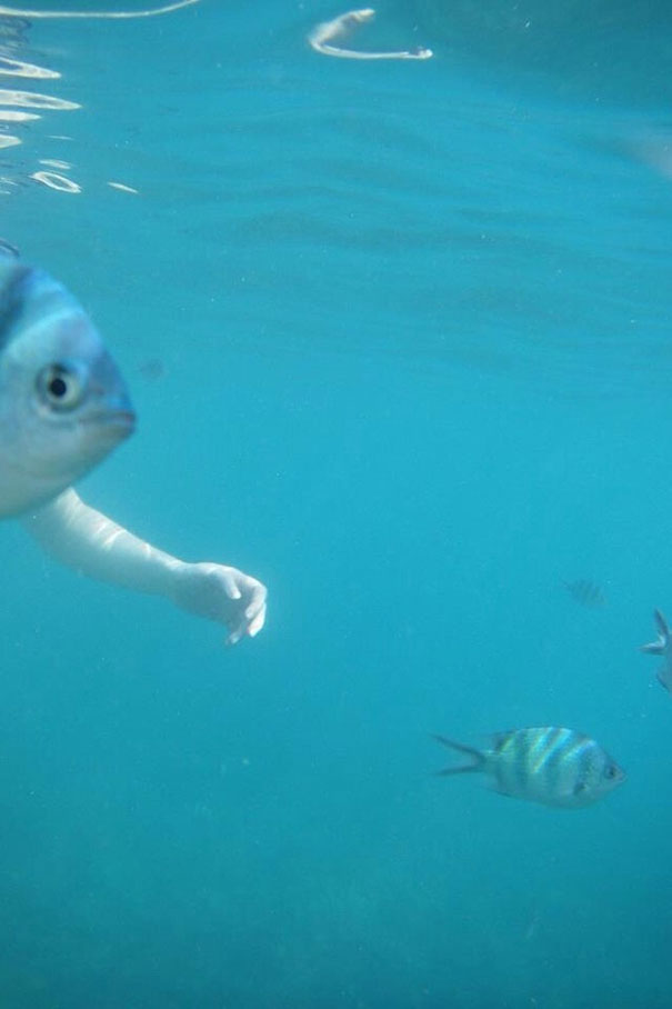 perfectly-timed-photos-300914_31