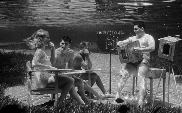 06 Aug 1954, Silver Springs, Florida, USA --- Original caption: Next time your camera drops in the water, dive in after it and start snapping. Some wonderful pictures can be made underwater- if your camera is leakproof and you know the tricks of filming the fishes. At Silver Springs, Florida, where the water is ideal for submarine photography, Bruce Mozert, who's been an underwater shutterbug for 16 years, recently conducted a class in the art for a few friends. Multicolored fish and water plants, lighted dramatically by refracted rays from the sun, turned the underwater 
