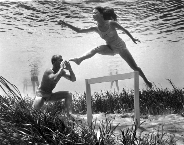 underwater-life-mozert-photography-6
