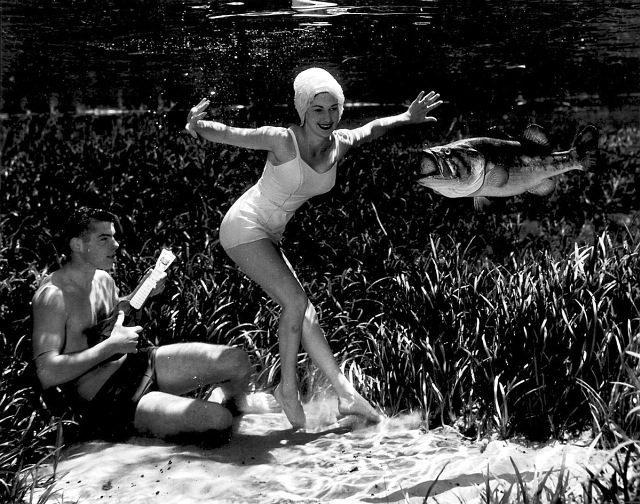 underwater-life-mozert-photography-9