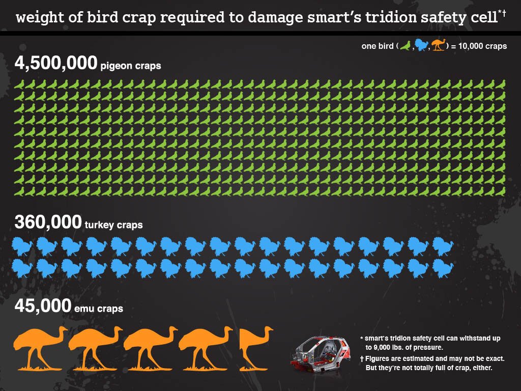How Much Bird Poop Does It Take to Damage a Smart Car? 1 how much bird would it take to damage a smart car