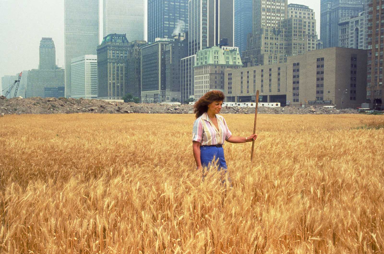 Cultivating a Wheat Field in the Heart of Manhattan: Agnes Denes’ Bold 1982 Project and the Reactions It Harvested 1 wheatfield in manhattan art project agnes denes 1