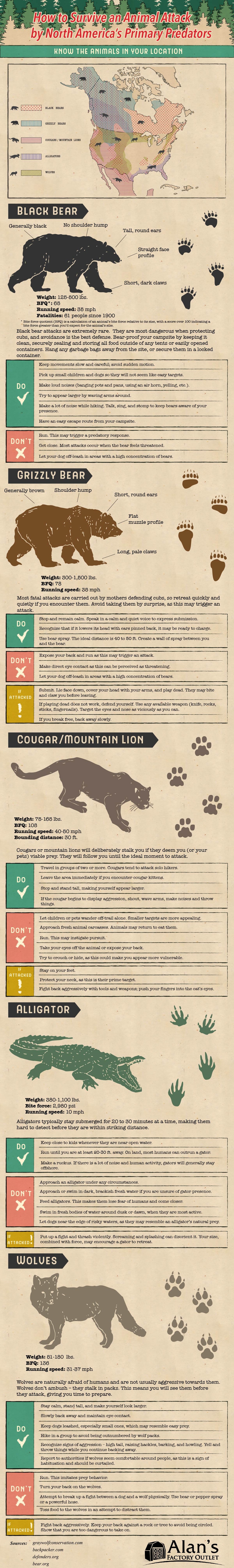 How to Survive an Animal Attack by North America's Primary Predators 1 animal attack survival