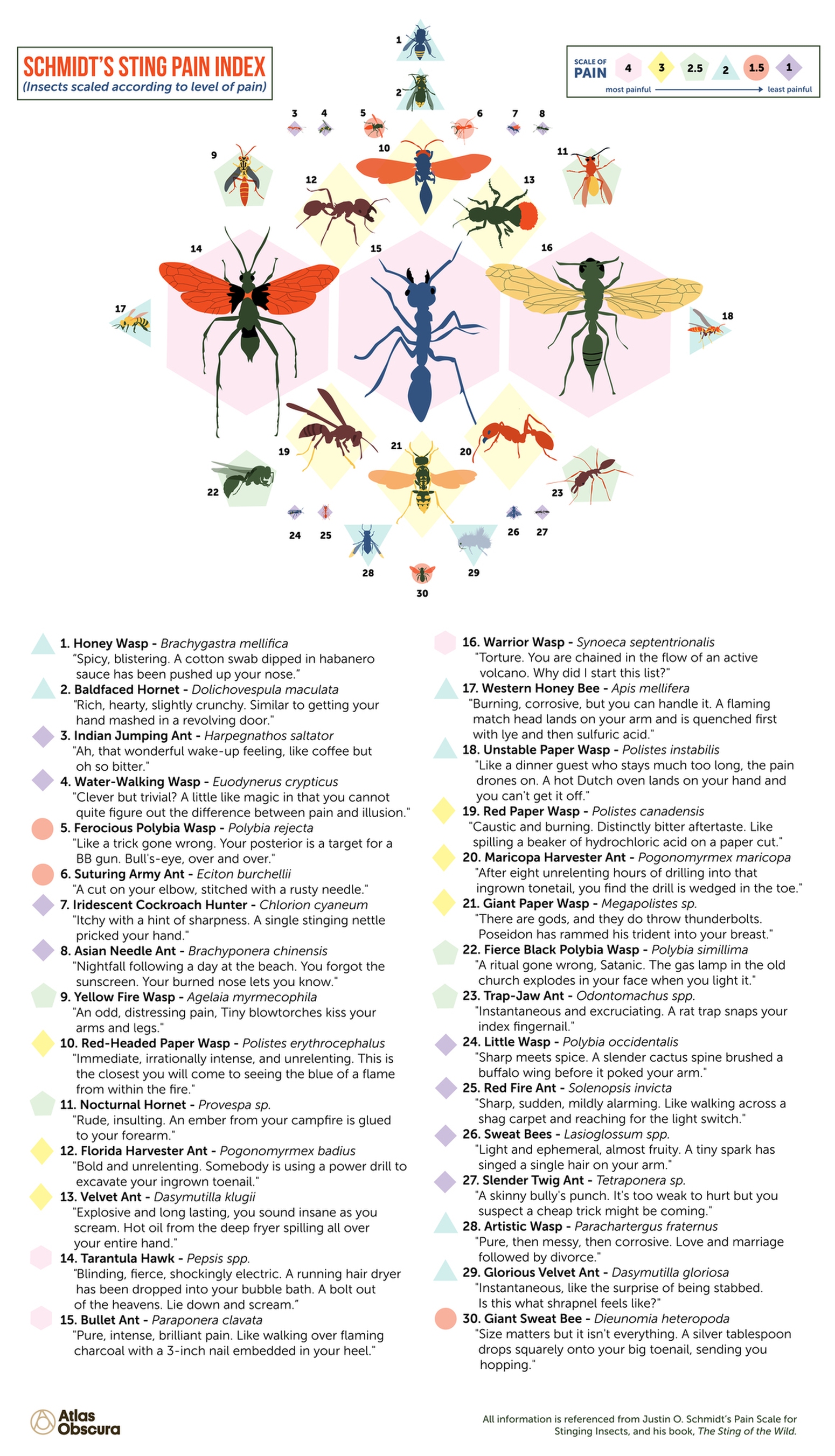 Insect Sting Pain Rating Index With Hilariously Entertaining Descriptions 1 Insect Sting Pain Rating Index