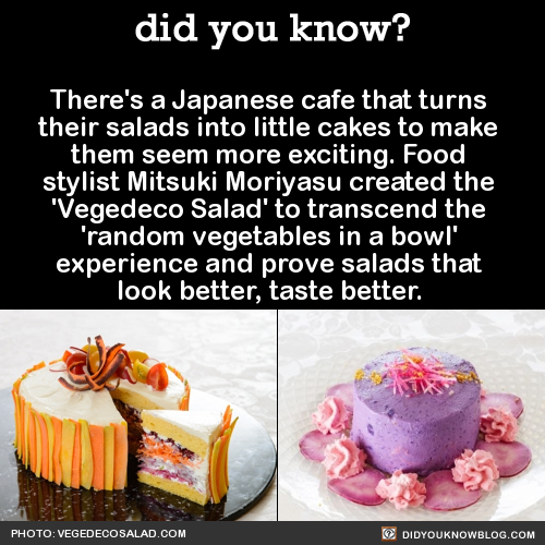 japanese salad cakes